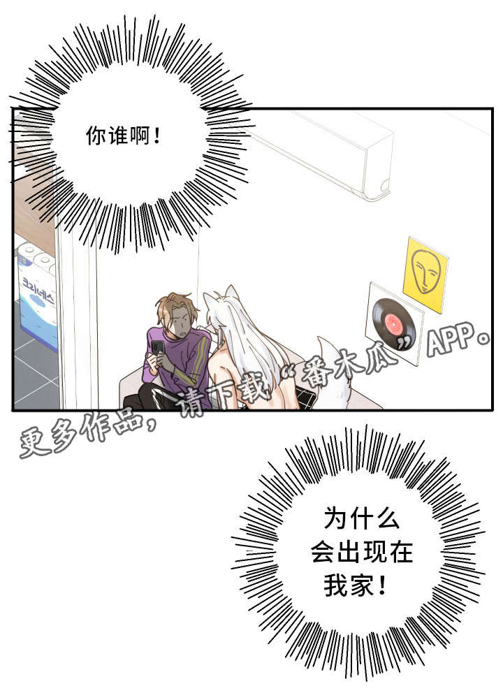 亲爱的喵君漫画,第5章：推开2图