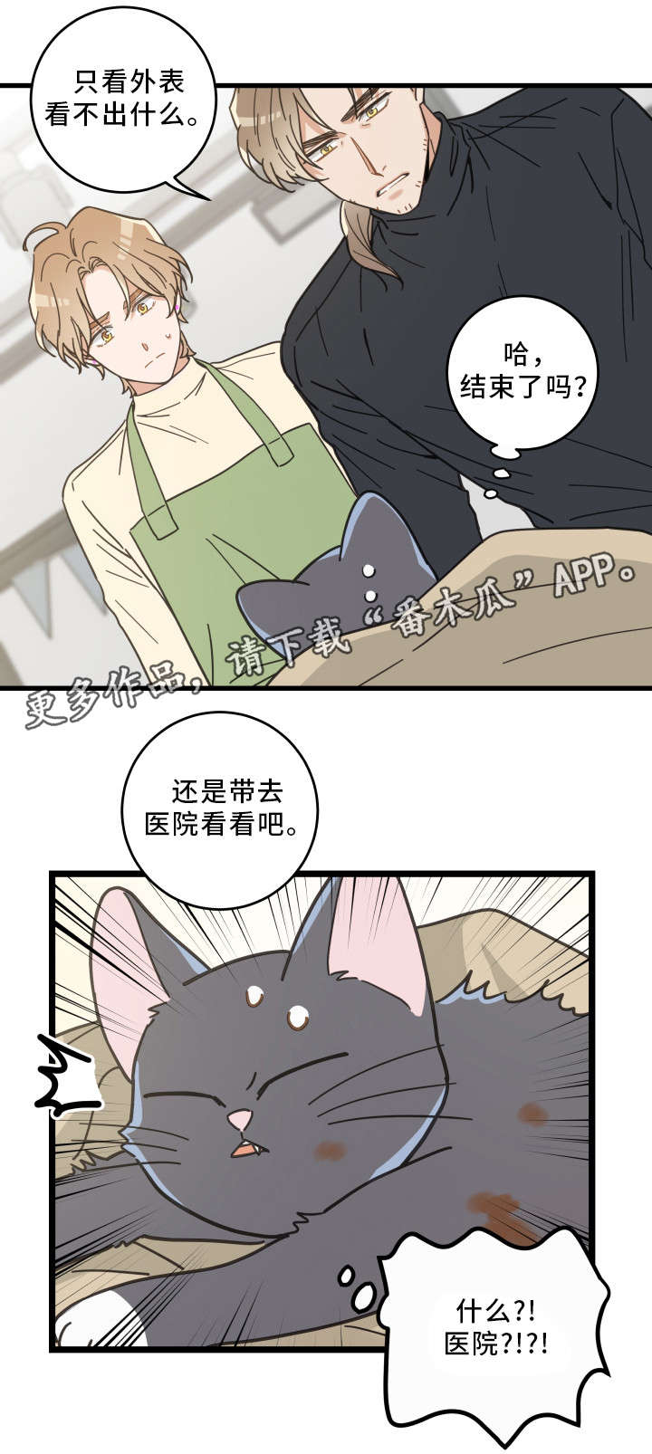 亲爱的喵君漫画,第32章：晕倒3图