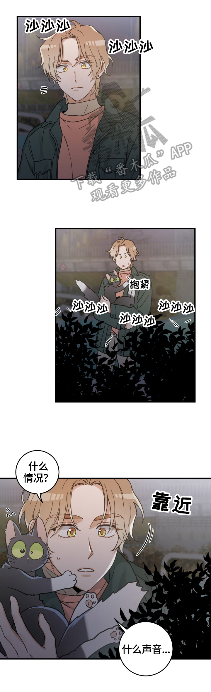 亲爱的喵君漫画,第54章：回家1图