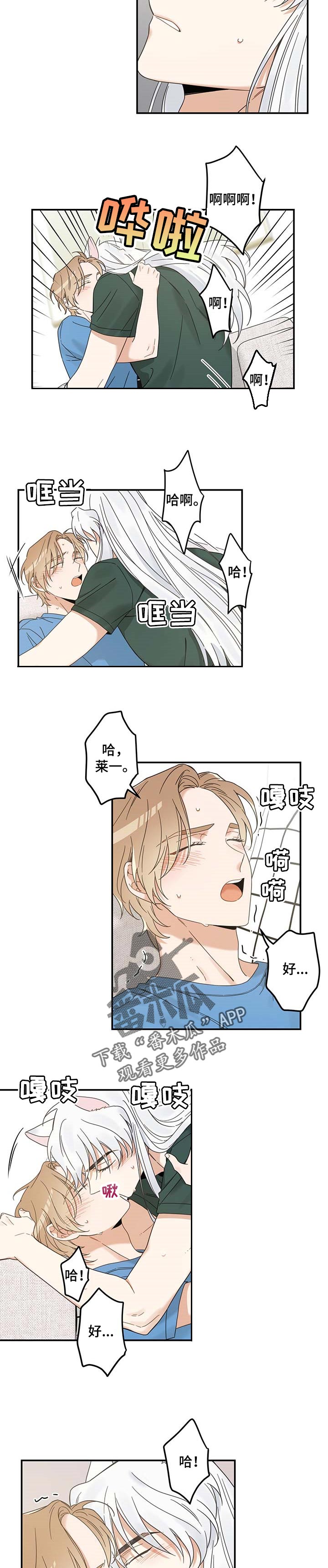 亲爱的喵君漫画,第114章：以后也要在一起4图