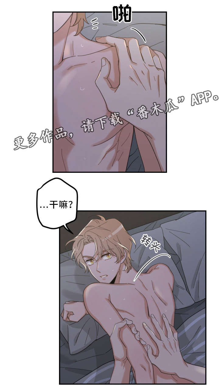 亲爱的喵君漫画,第21章：炸了3图