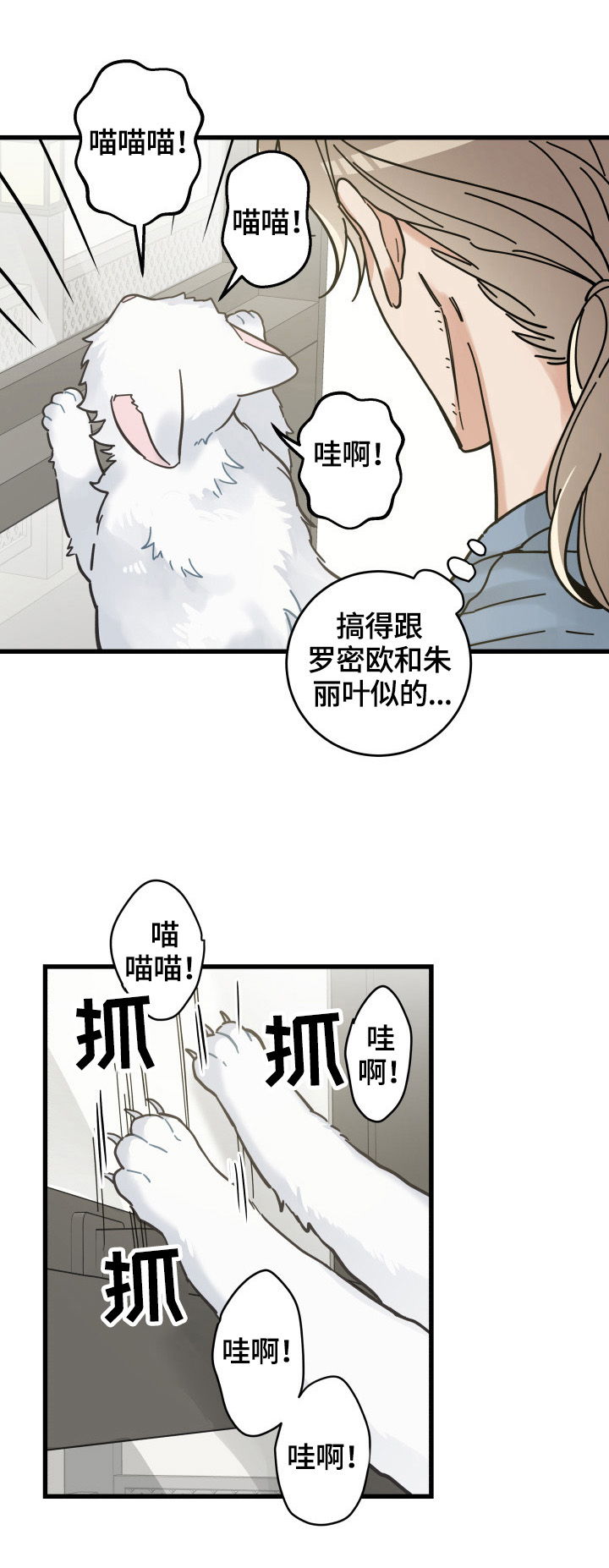 亲爱的喵君漫画,第62章：拒绝1图