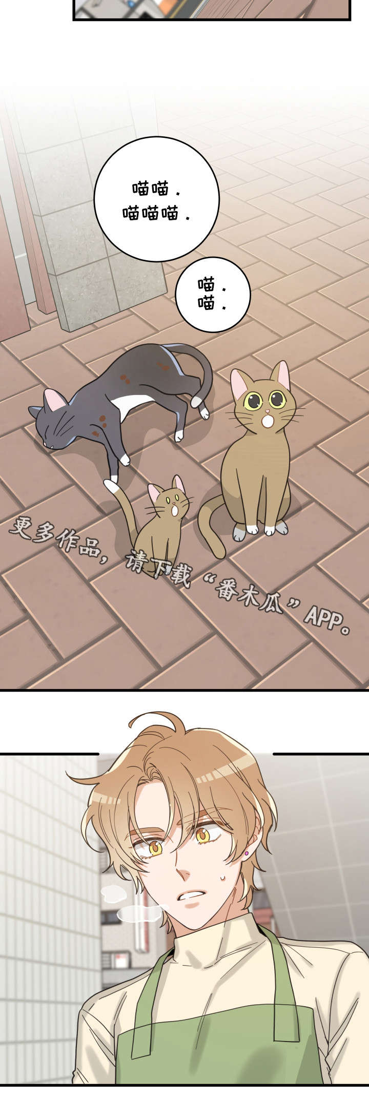亲爱的喵君漫画,第32章：晕倒1图