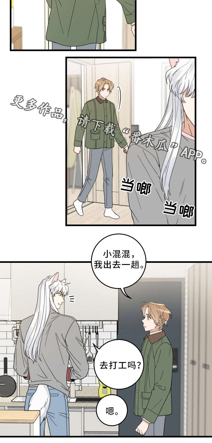亲爱的喵君漫画,第30章：最好的礼物4图