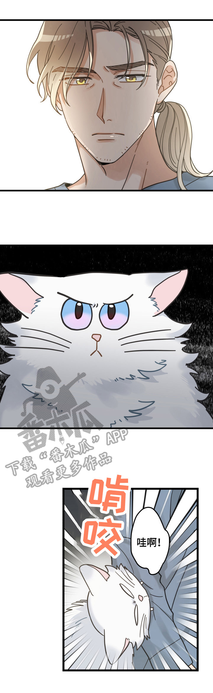 亲爱的喵君漫画,第62章：拒绝1图