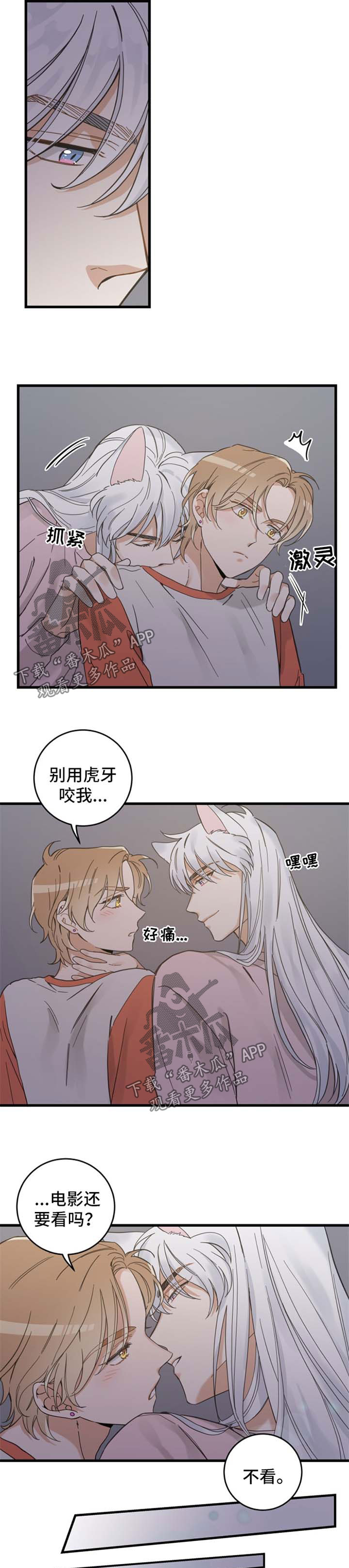 亲爱的喵君漫画,第75章：我们聊聊5图