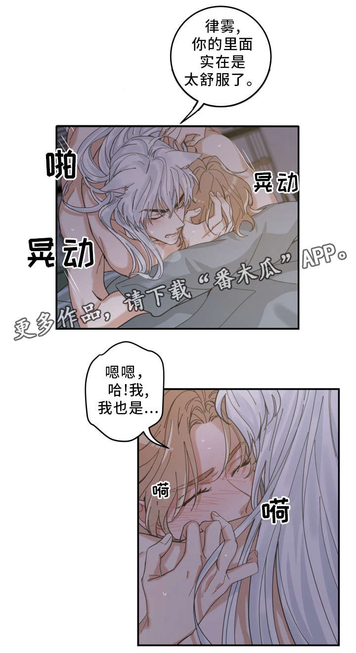 亲爱的喵君漫画,第21章：炸了1图