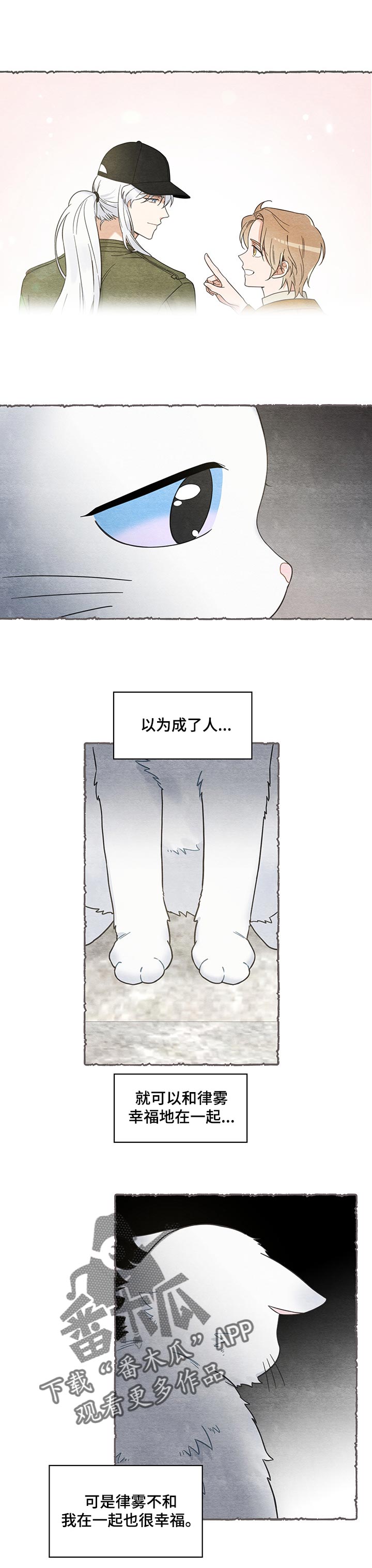 亲爱的喵君漫画,第104章：失踪了5图