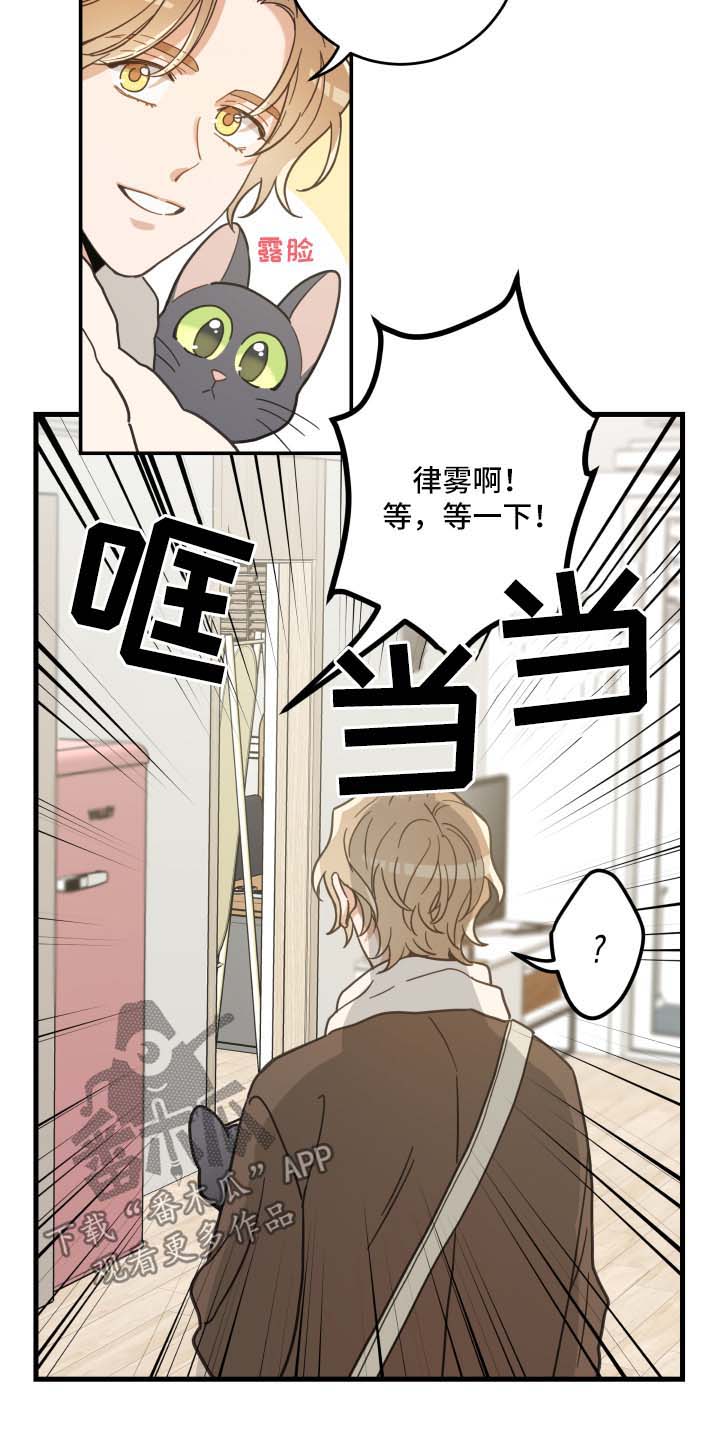 亲爱的喵君漫画,第46章：不能一起3图