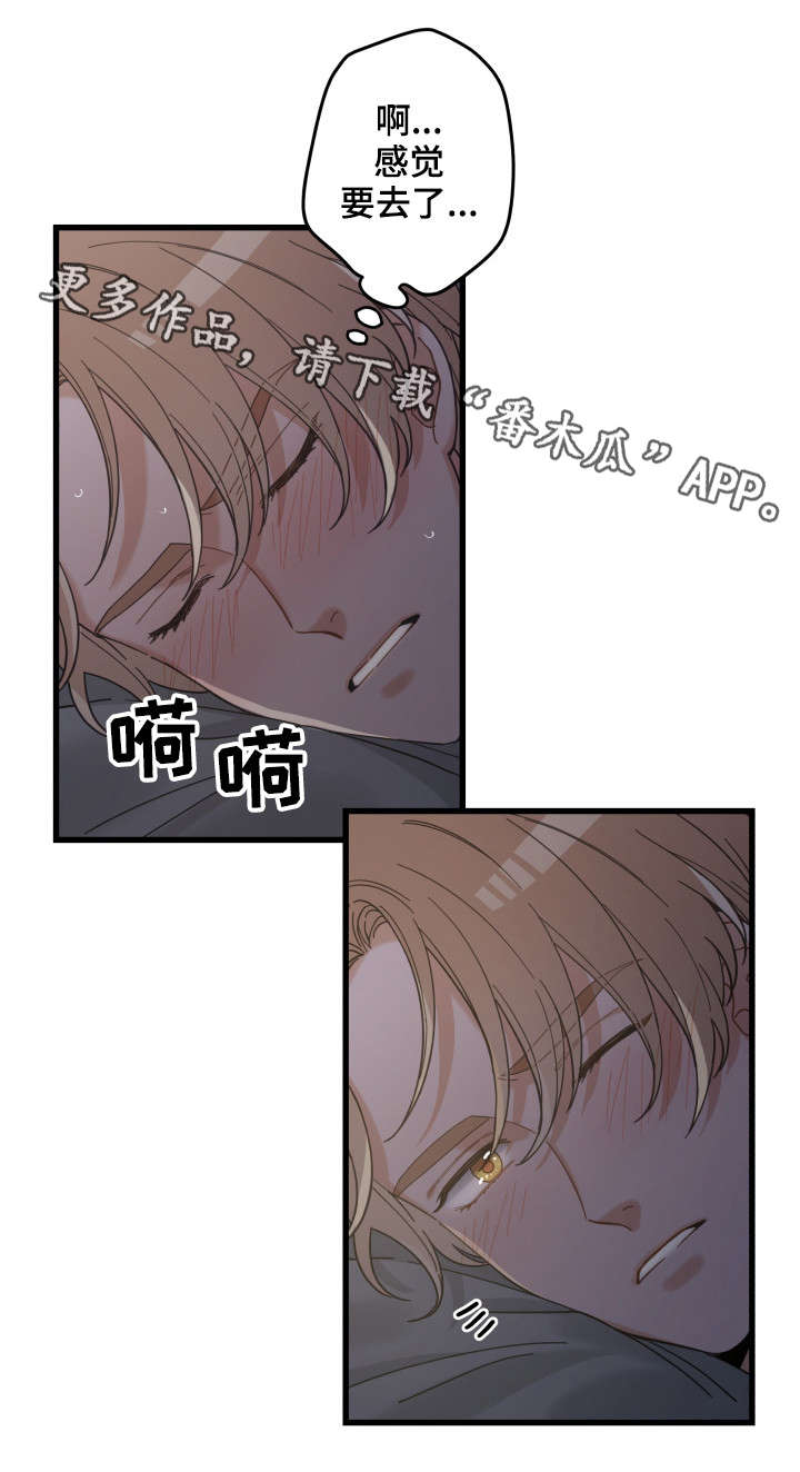 亲爱的喵君漫画,第38章：打扰4图
