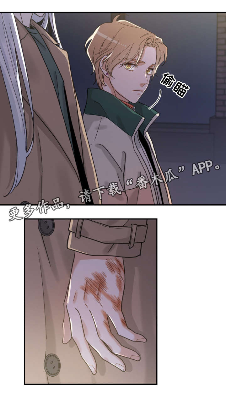 亲爱的喵君漫画,第15章：抓伤4图