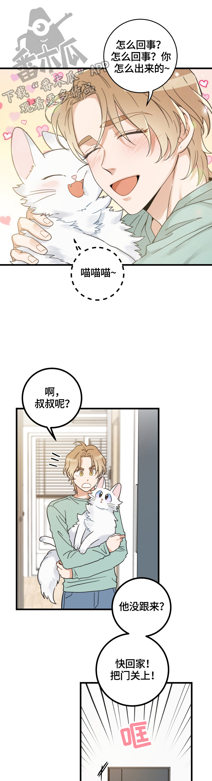亲爱的喵君漫画,第65章：忍不了4图