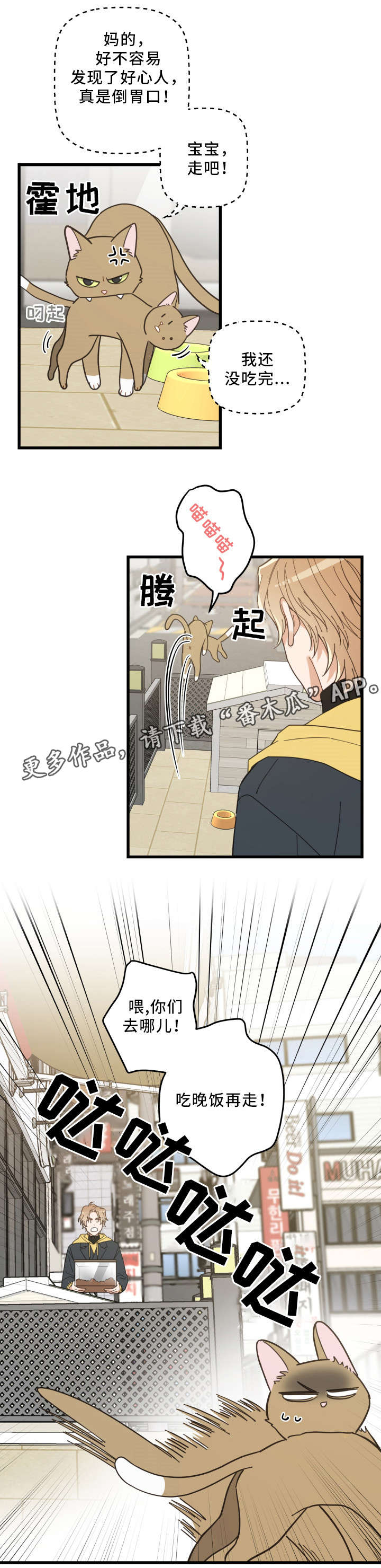 亲爱的喵君漫画,第23章：再遇2图