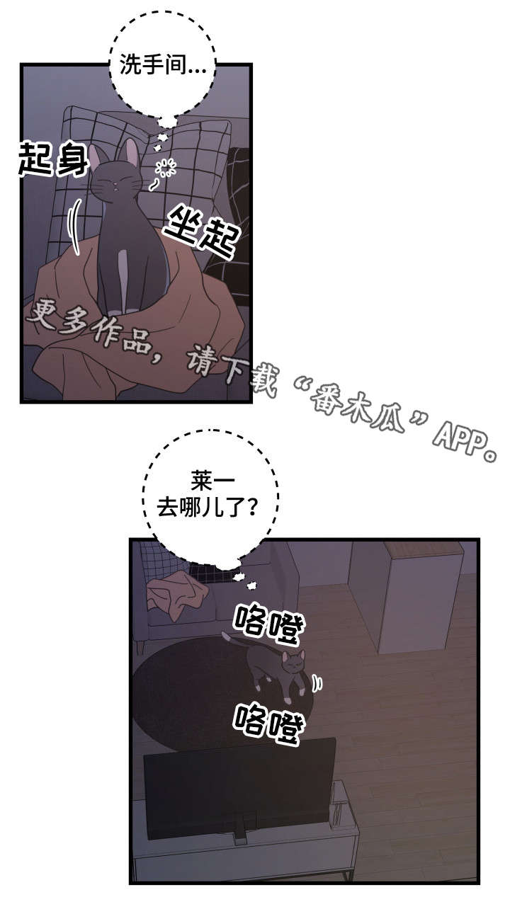 亲爱的喵君漫画,第38章：打扰2图