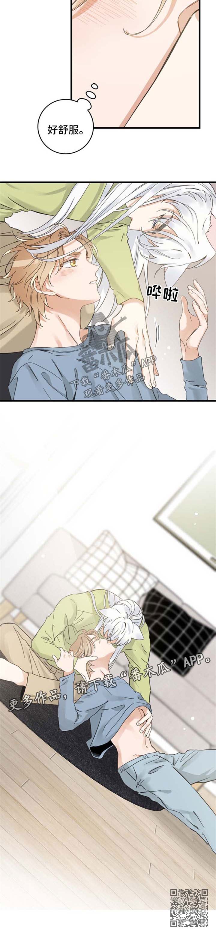 亲爱的喵君漫画,第77章：朋友3图