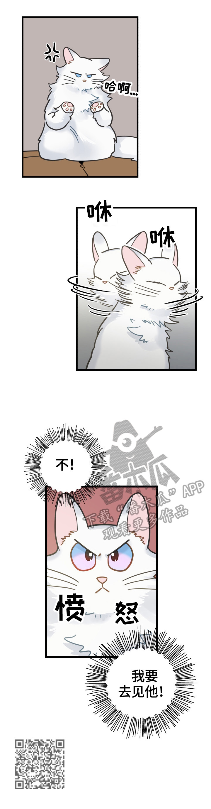 亲爱的喵君漫画,第63章：思念1图