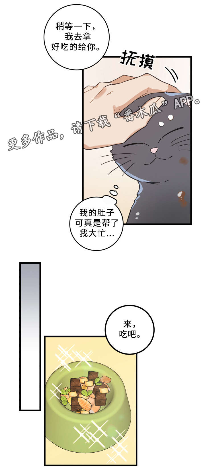 亲爱的喵君漫画,第33章：好想你3图