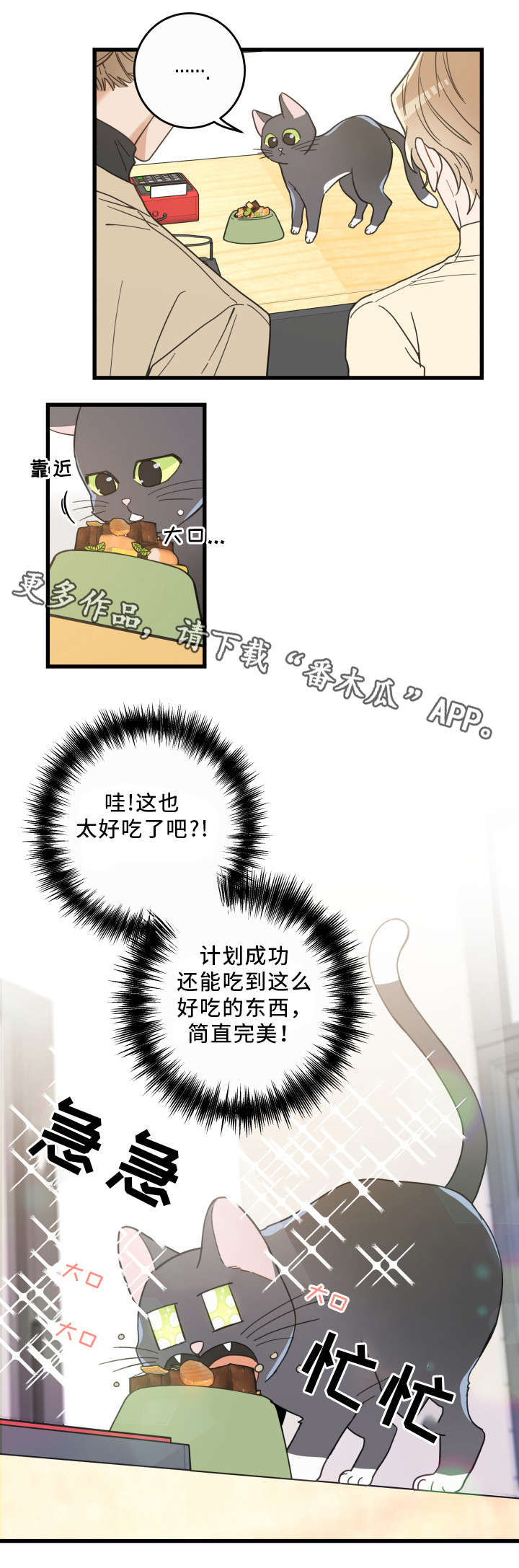 亲爱的喵君漫画,第33章：好想你4图
