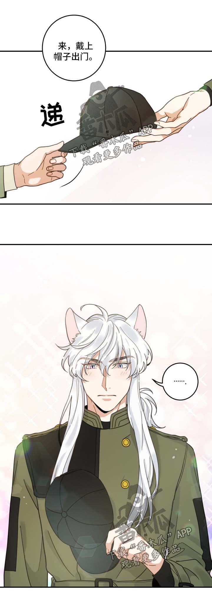 亲爱的喵君漫画,第48章：两人约会2图