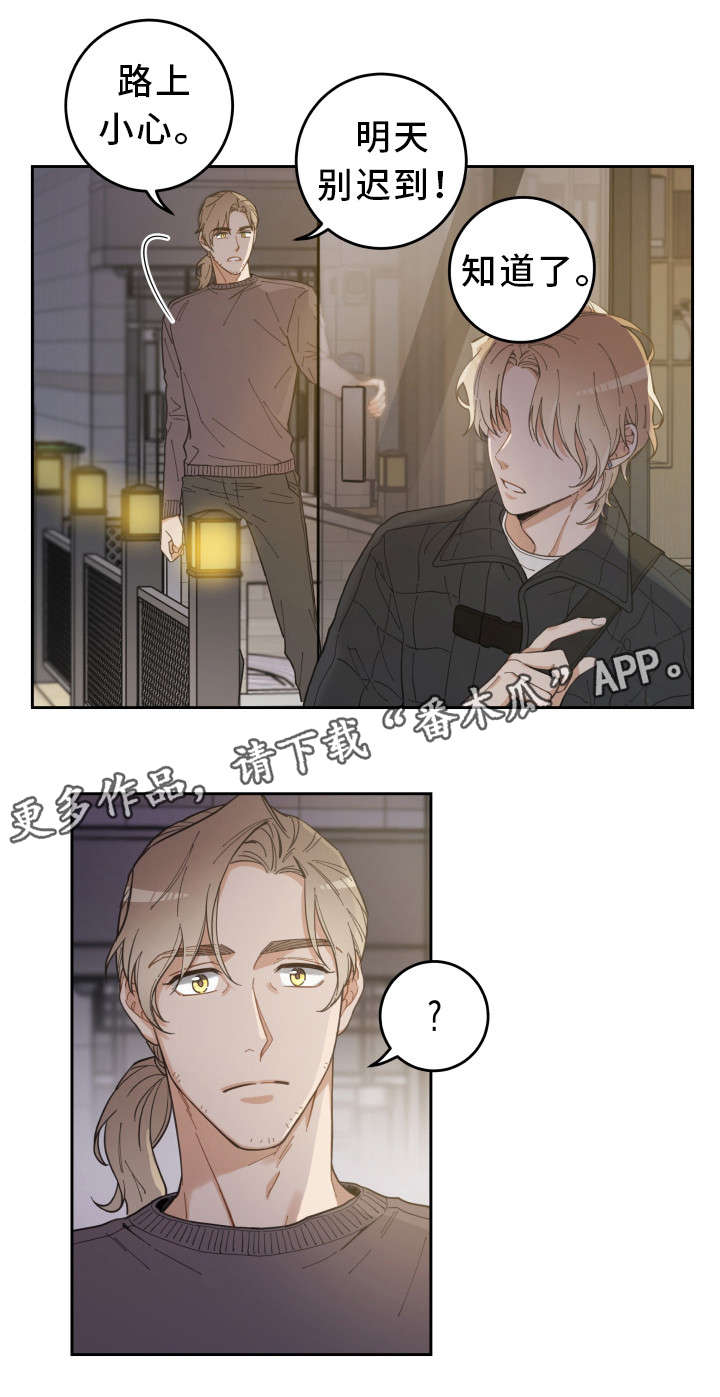 亲爱的喵君漫画,第6章：猫呢3图