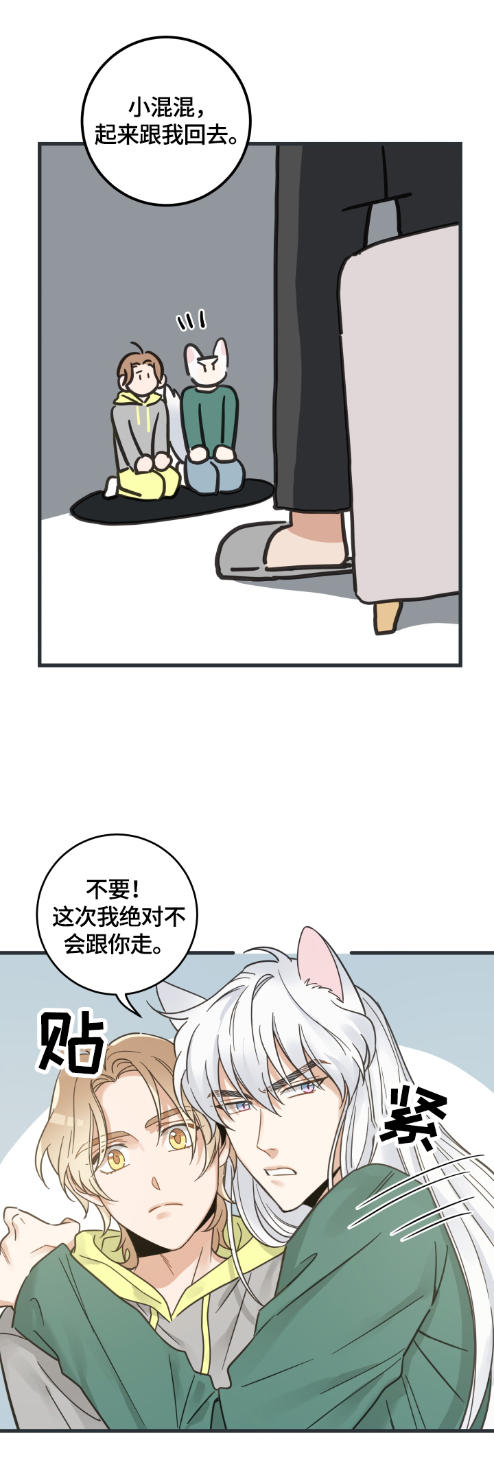 亲爱的喵君漫画,第67章：同意4图