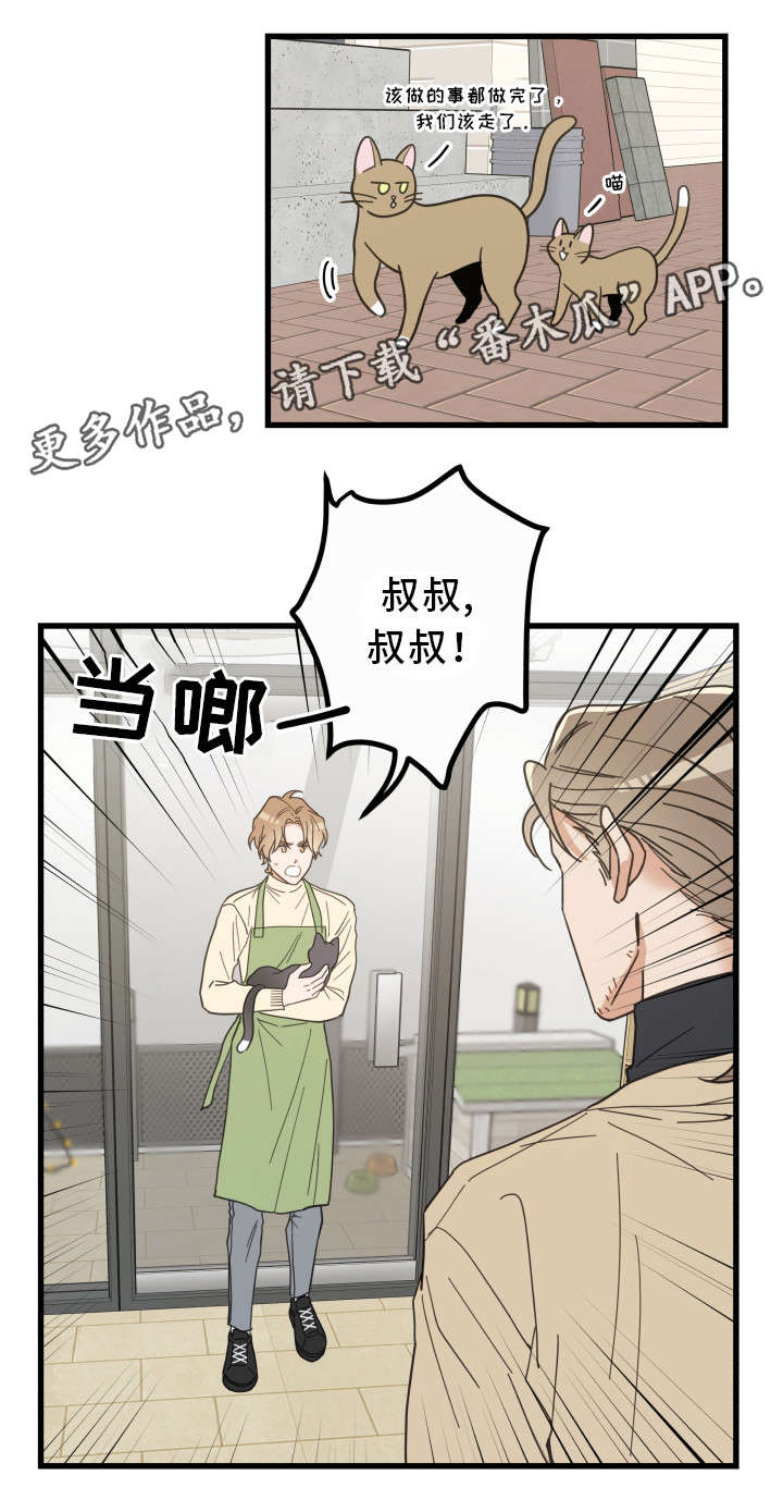 亲爱的喵君漫画,第32章：晕倒4图