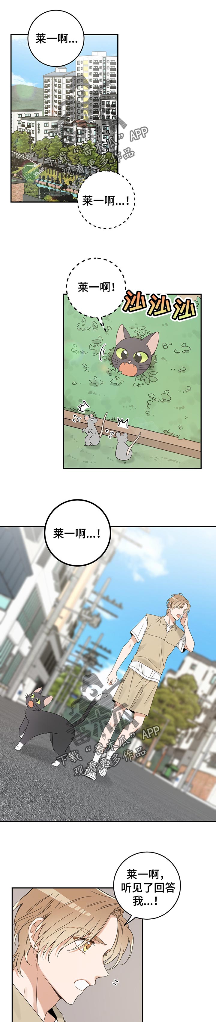 亲爱的喵君漫画,第108章：有事要说1图