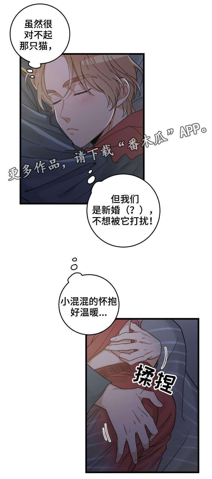 亲爱的喵君漫画,第38章：打扰1图