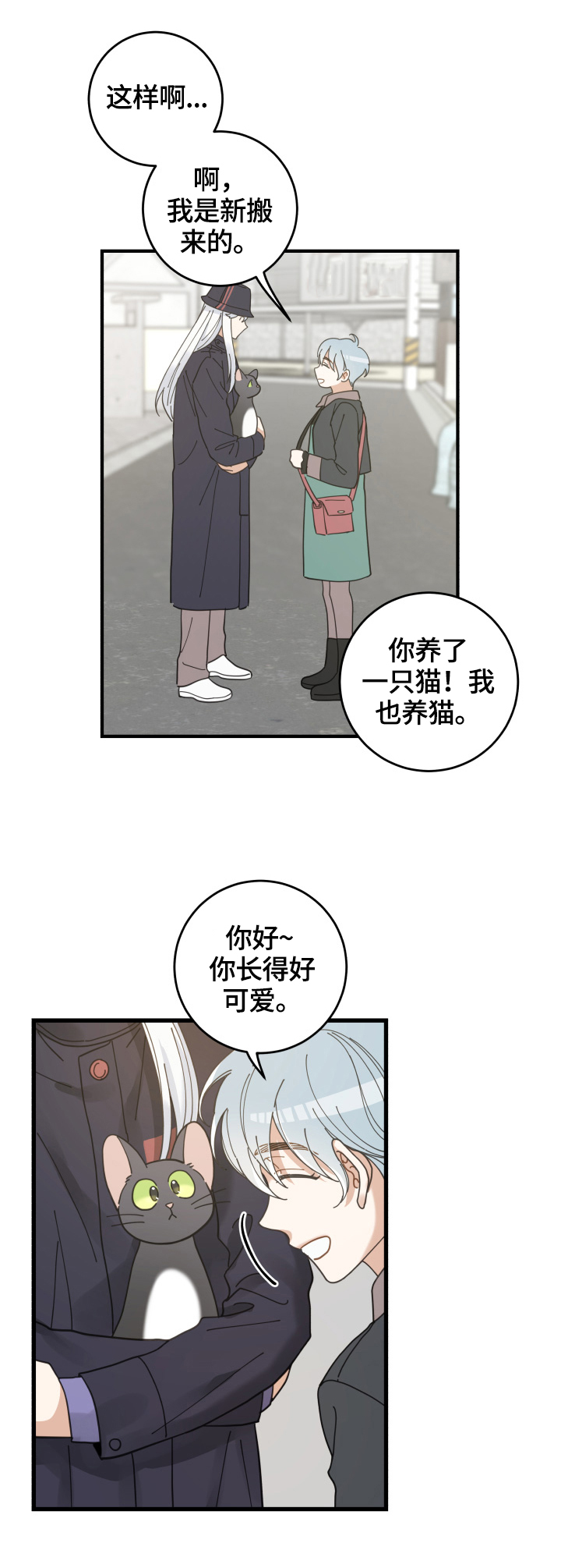 亲爱的喵君漫画,第55章：新邻居4图