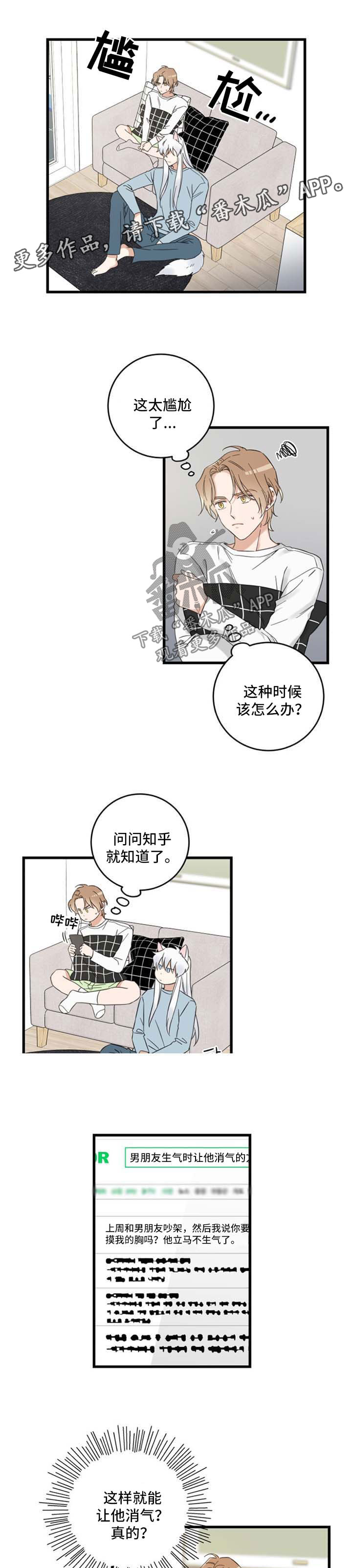 亲爱的喵君漫画,第97章：短信2图