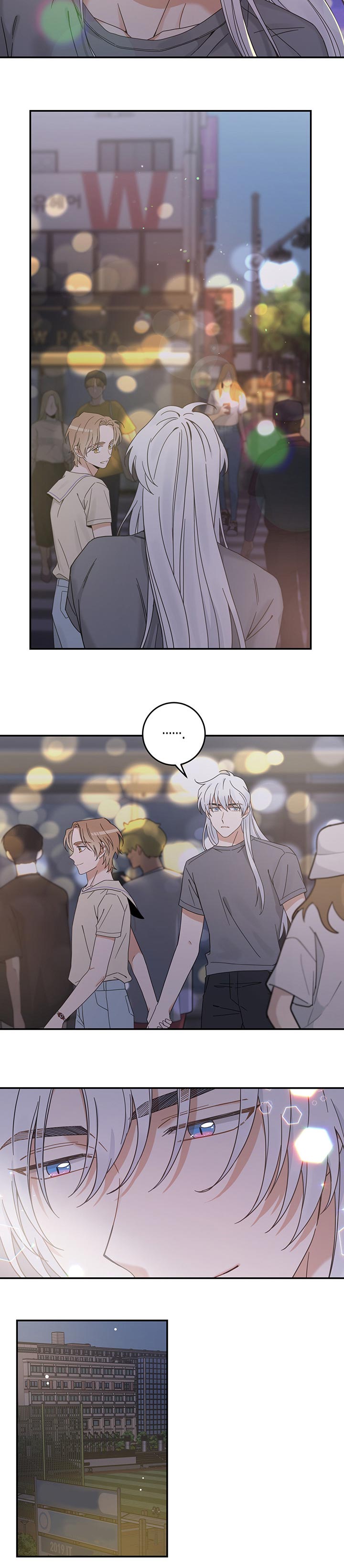 亲爱的喵君漫画,第117章：我唯一的猫【完结】3图