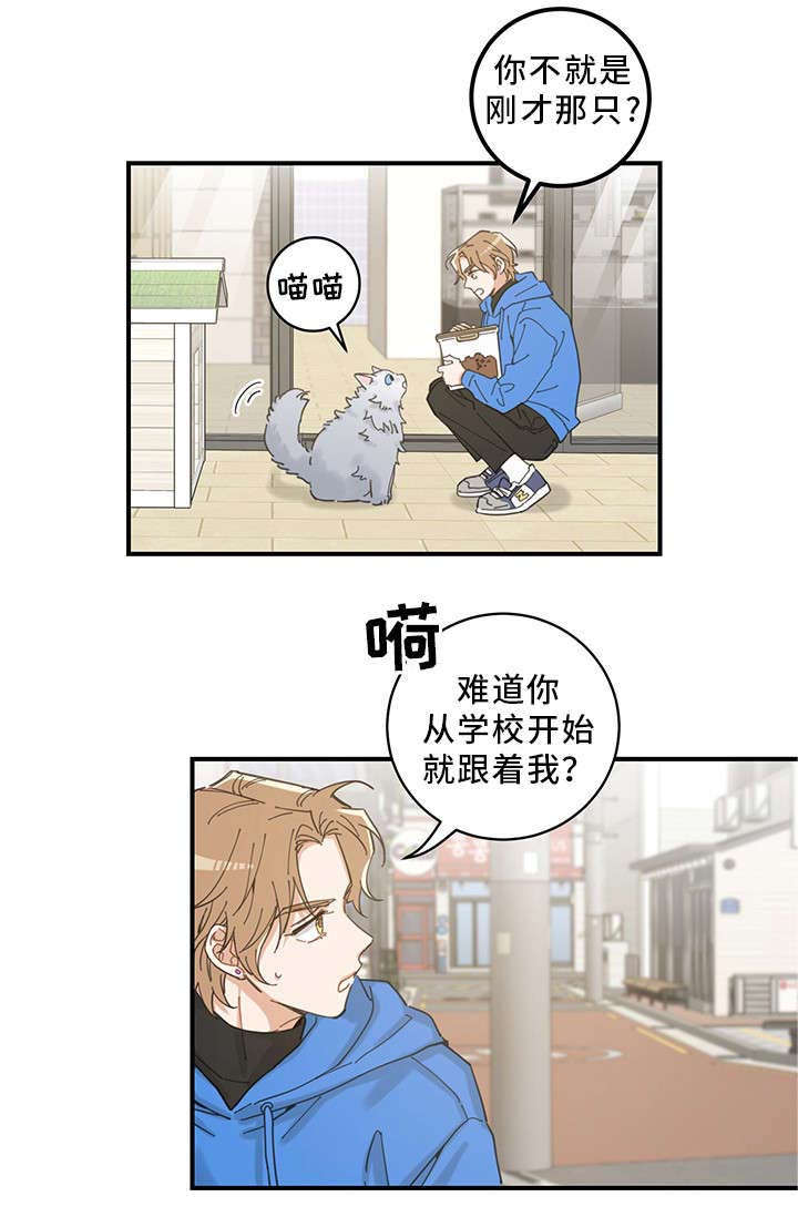 亲爱的喵君漫画,第1章：传说1图