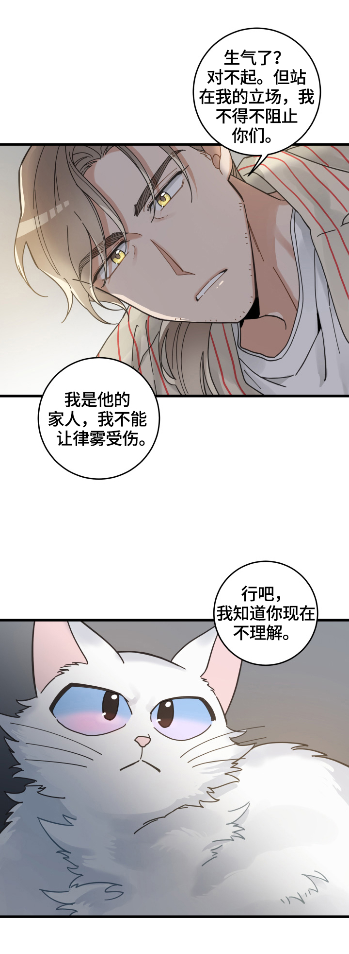 亲爱的喵君漫画,第60章：悲剧4图
