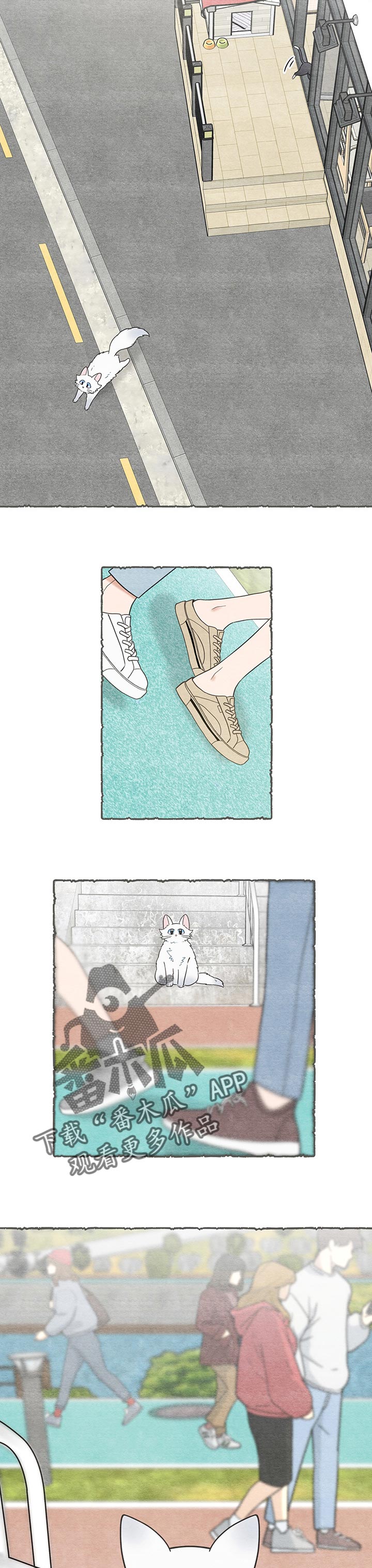 亲爱的喵君漫画,第104章：失踪了3图