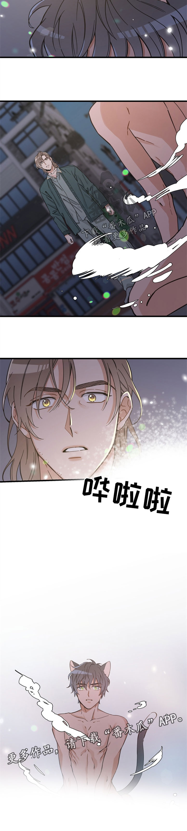 亲爱的喵君漫画,第84章：变人2图