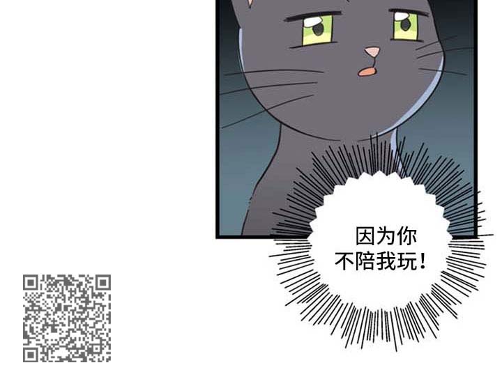 亲爱的喵君漫画,第94章：忧愁2图