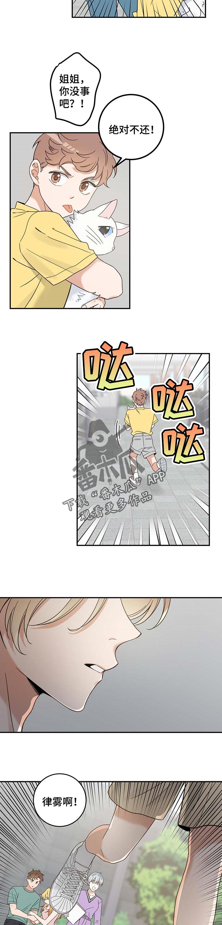 亲爱的喵君漫画,第111章：重逢2图