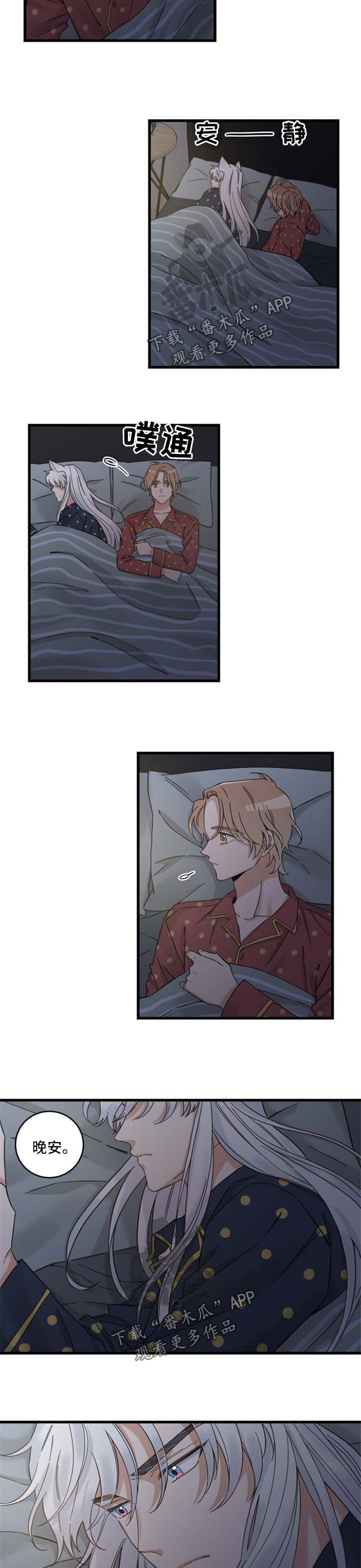 亲爱的喵君漫画,第96章：闹别扭2图