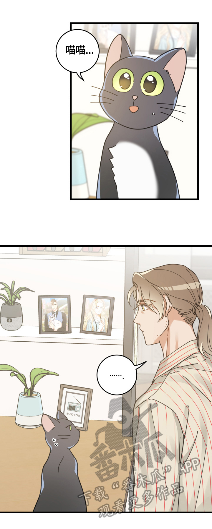 亲爱的喵君漫画,第56章：不能碰的东西3图