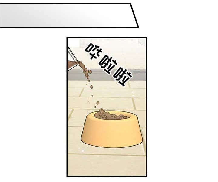 亲爱的喵君漫画,第1章：传说4图