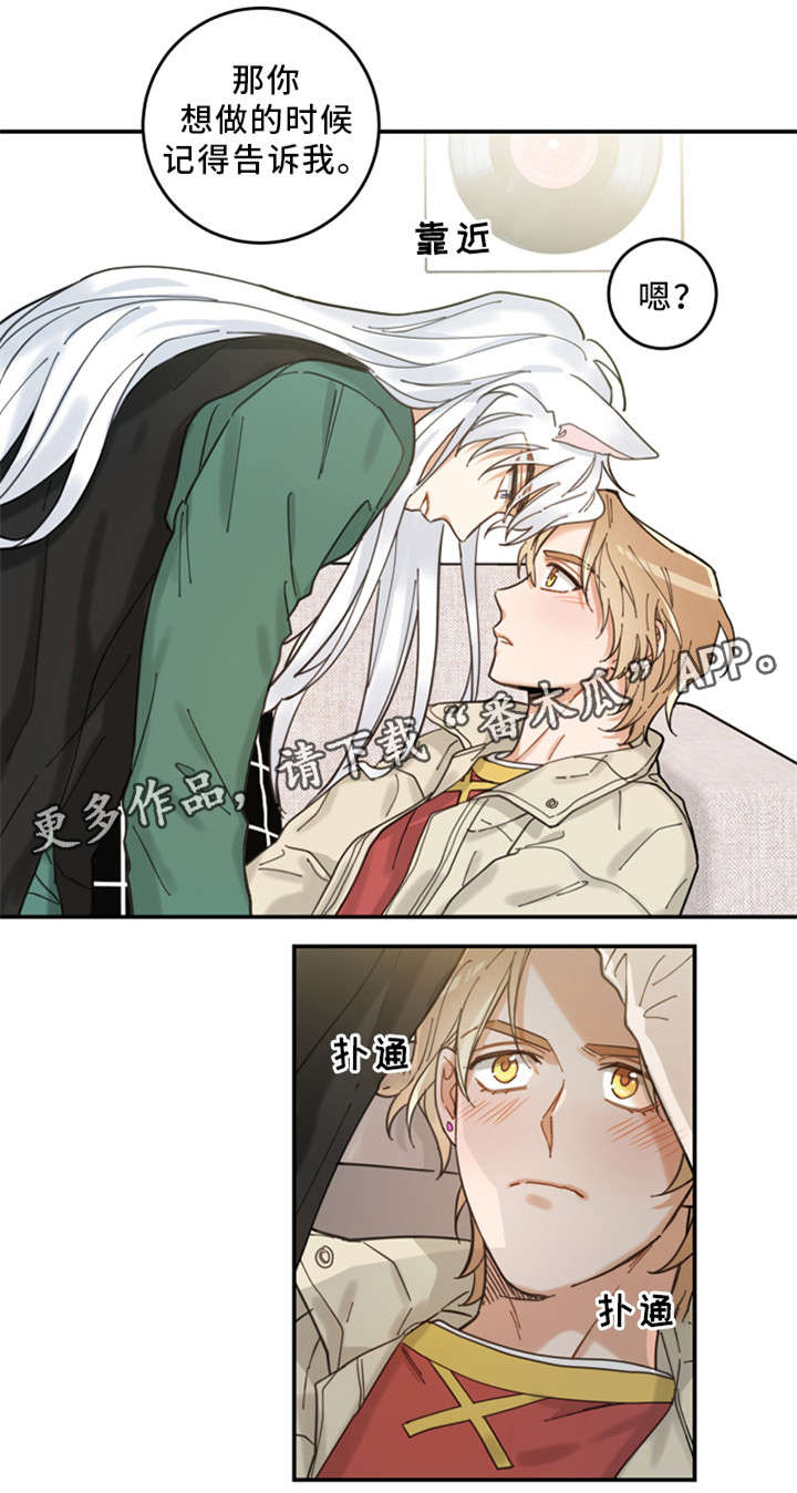 亲爱的喵君漫画,第14章：散步2图