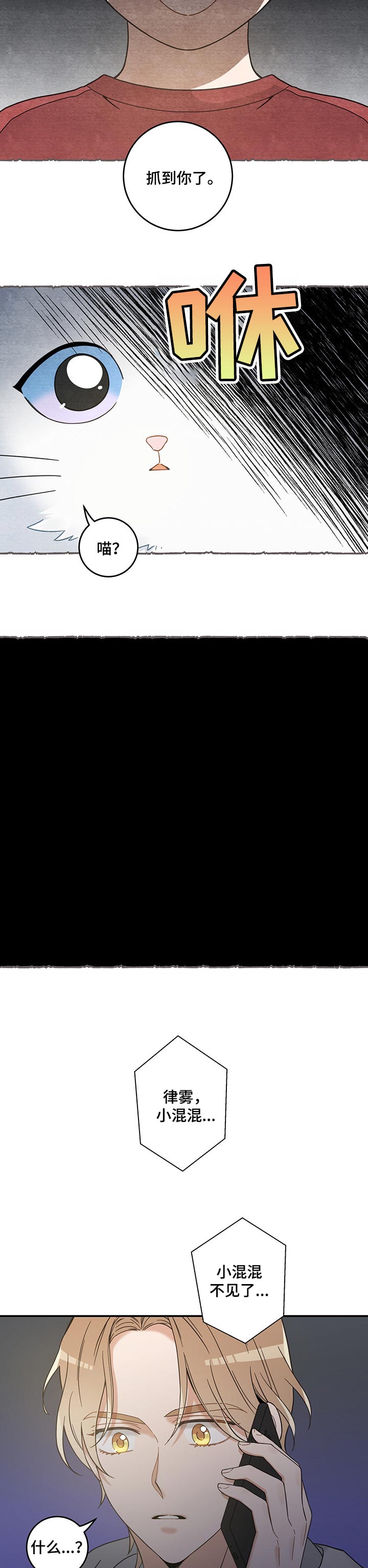 亲爱的喵君漫画,第104章：失踪了2图