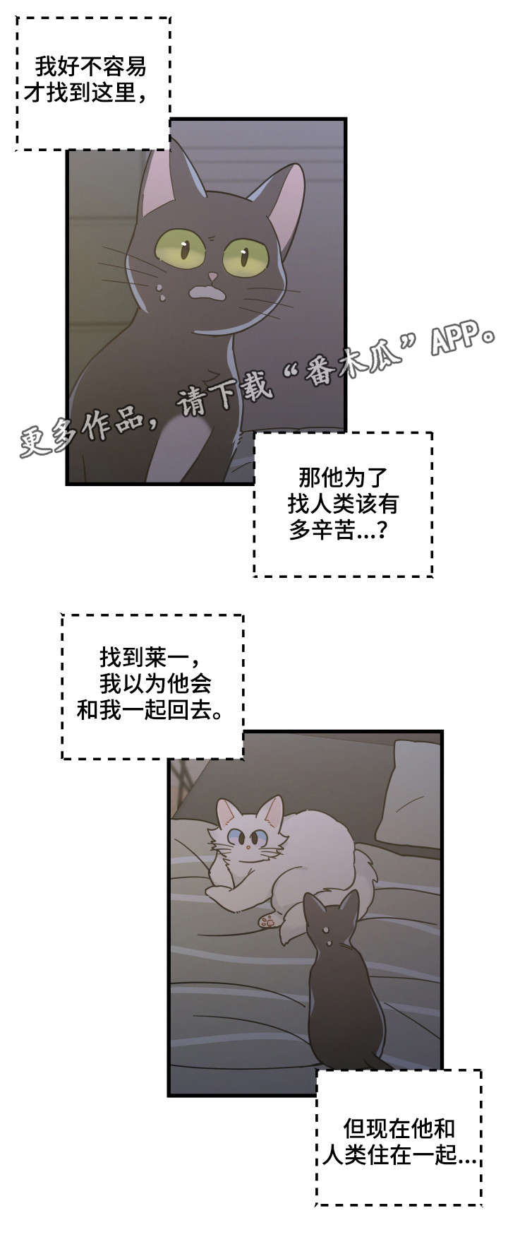 亲爱的喵君漫画,第39章：你别走5图