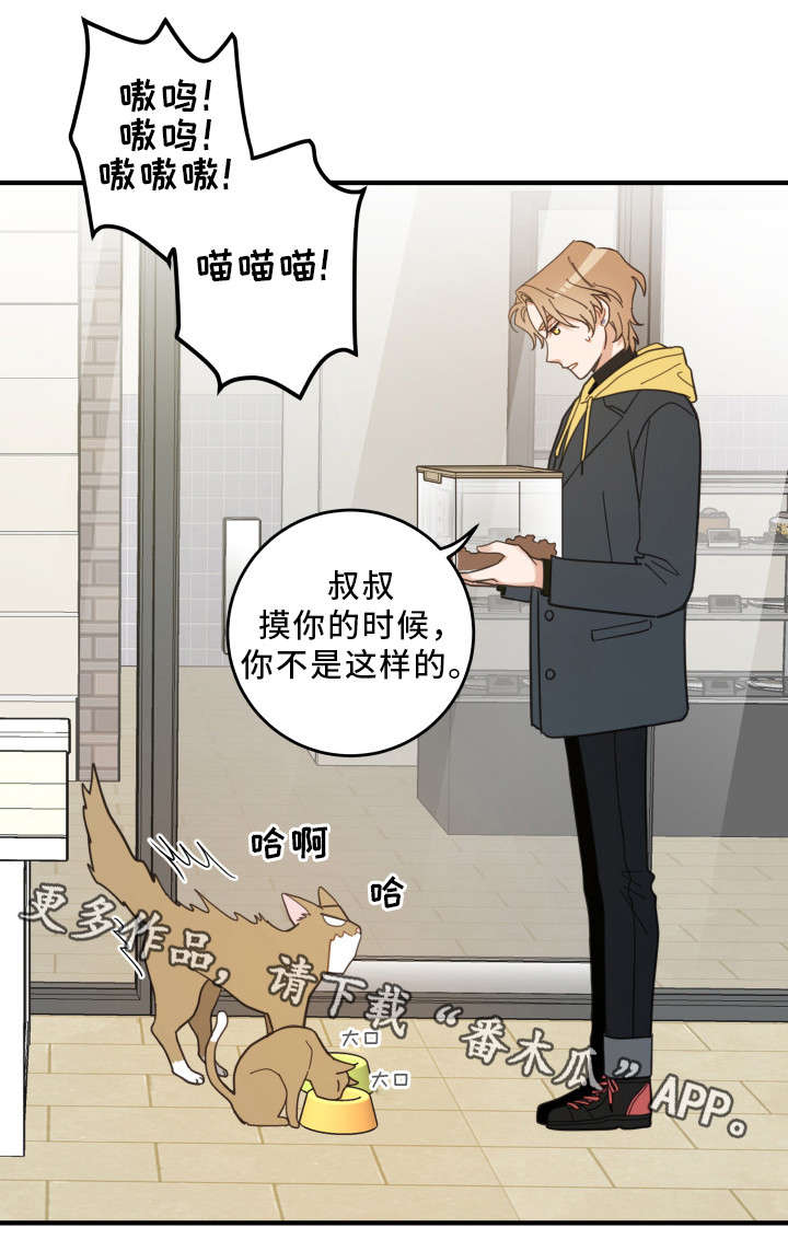 亲爱的喵君漫画,第23章：再遇1图