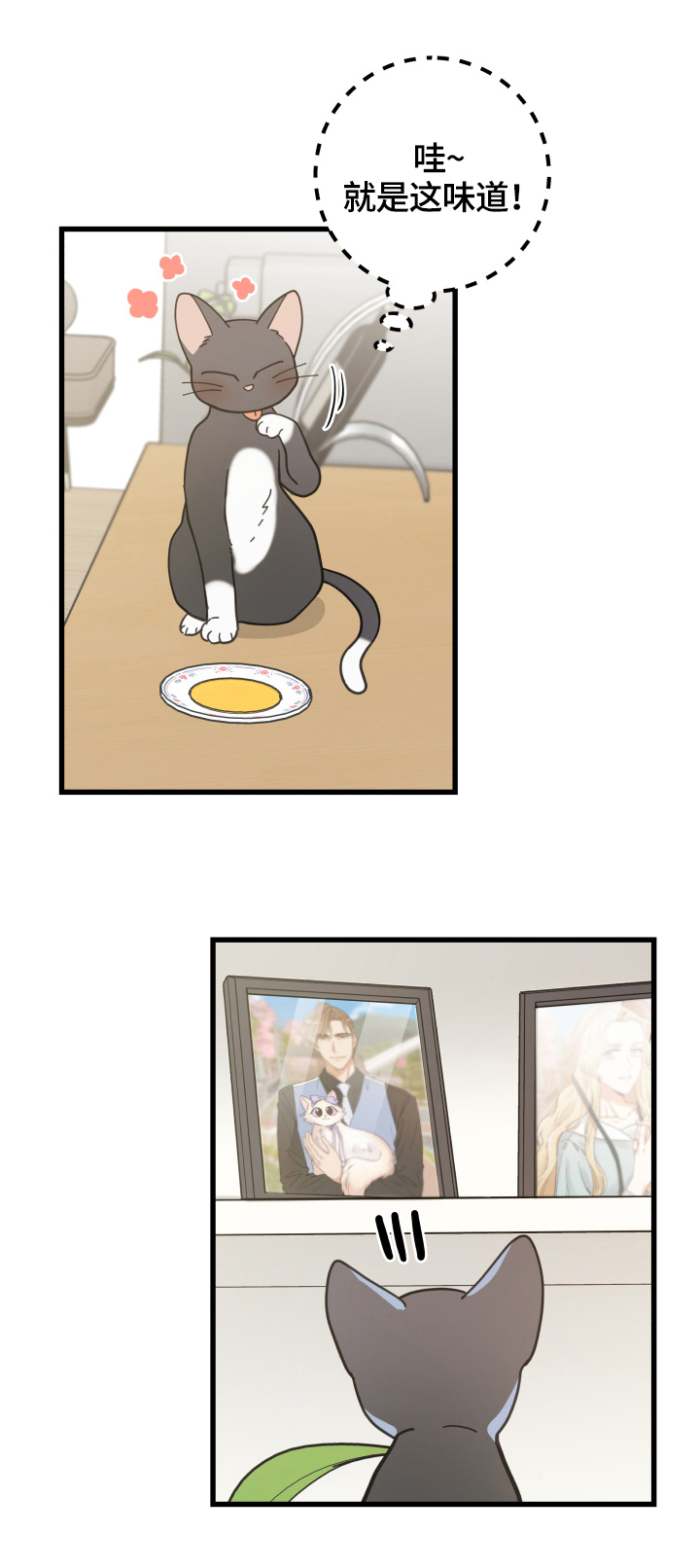 亲爱的喵君漫画,第56章：不能碰的东西5图