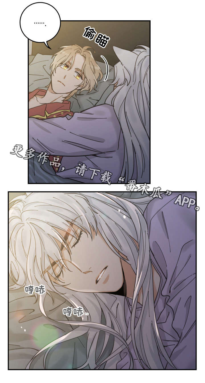 亲爱的喵君漫画,第12章：无事发生5图