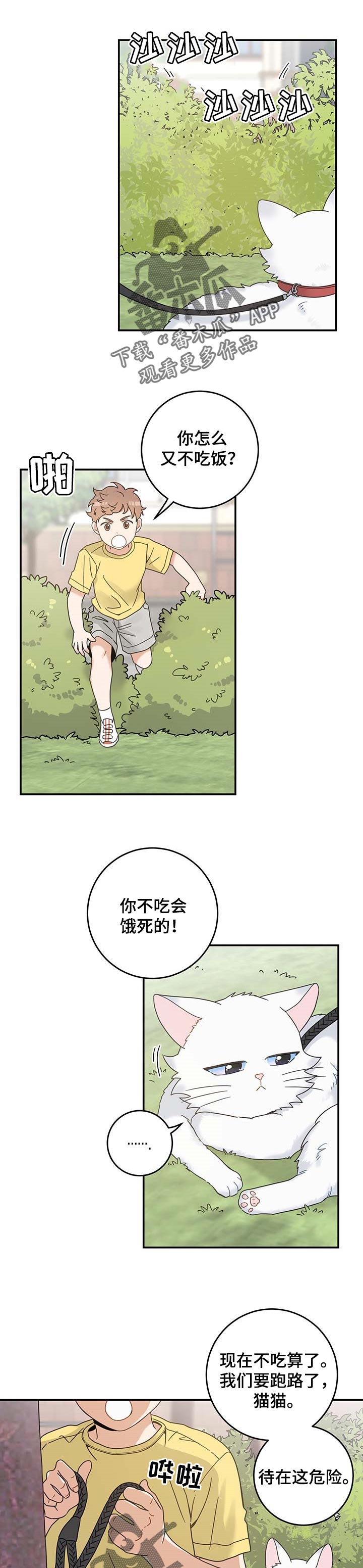 亲爱的喵君漫画,第110章：找到了1图