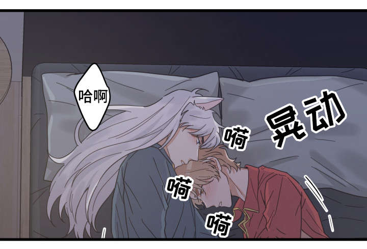 亲爱的喵君漫画,第38章：打扰1图