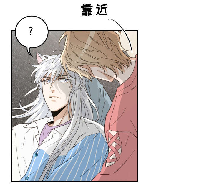 亲爱的喵君漫画,第18章：无动于衷1图