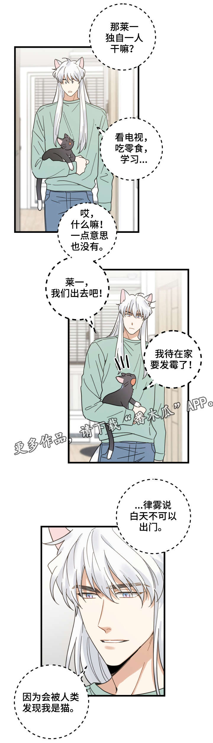 亲爱的喵君漫画,第42章：臭猫4图